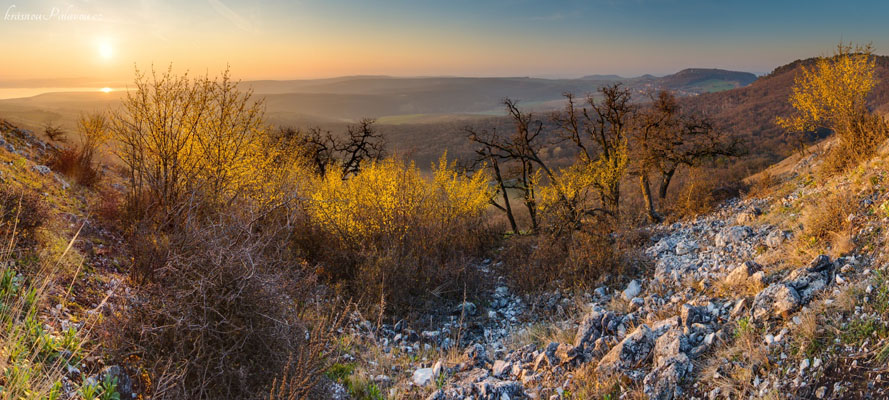 Dřínové panorama