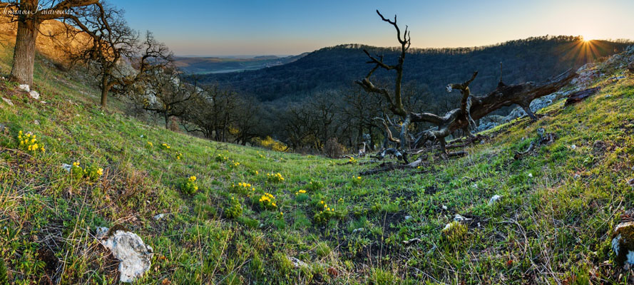 Hlaváčky nad Soutěskou