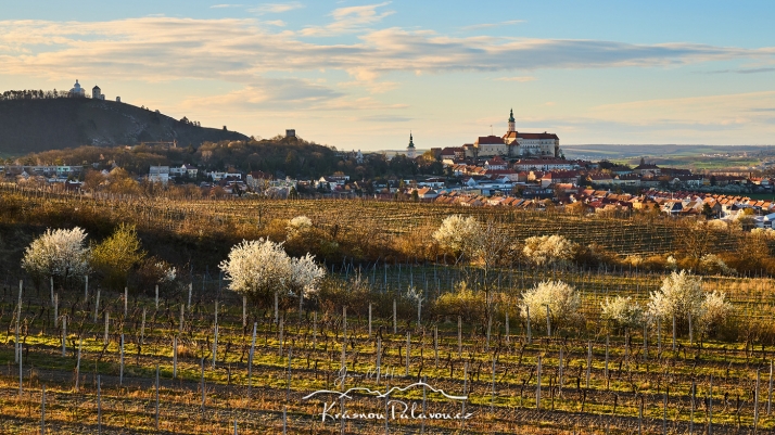 Jarní Mikulov od Růžového kopce