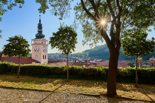 Kostel sv. Václava ze zámku