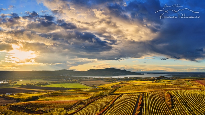 Pálava, mraky a vinice