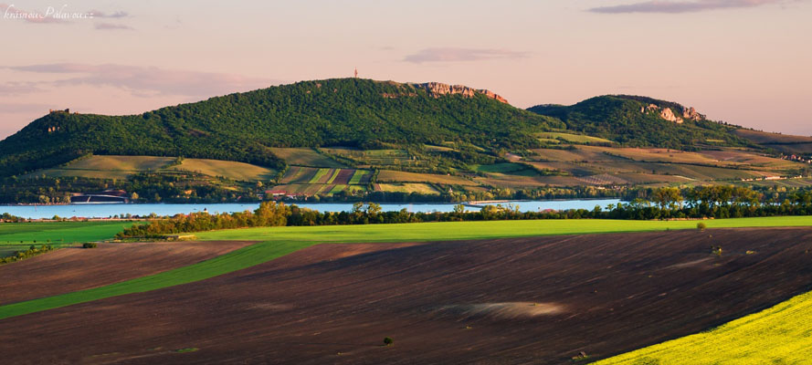 Pálava z Pouzdřanské stepi