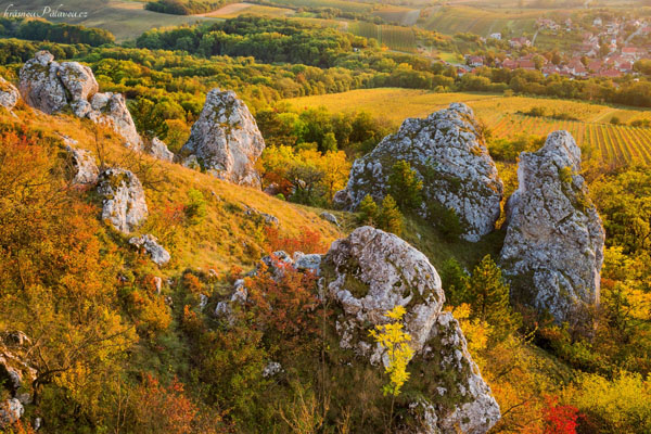 Podzim ve skalách Stolové hory