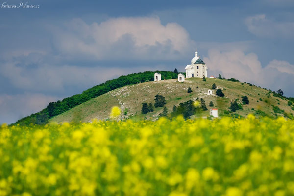 Řepkový Svatý kopeček