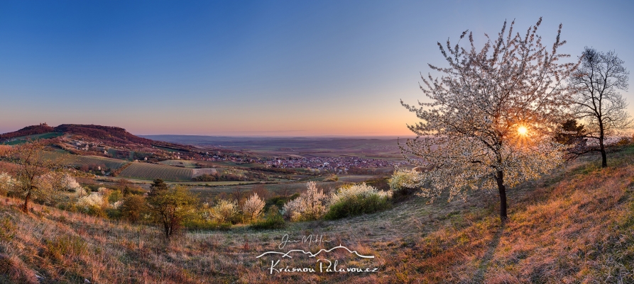 Rozkvetlé panorama