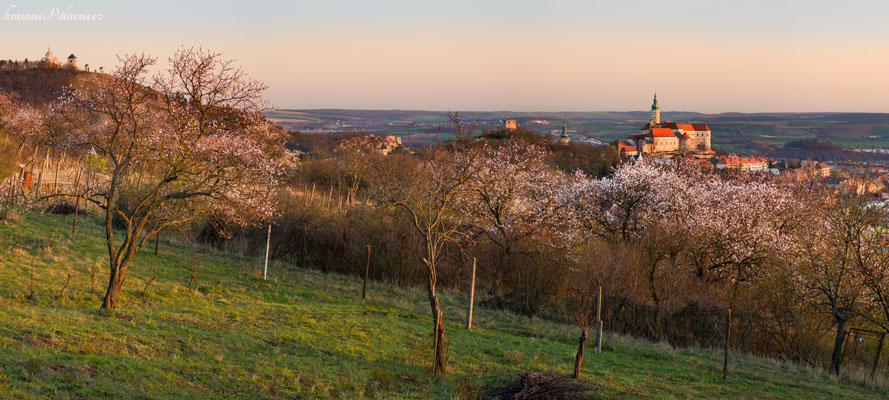 Rozkvetlý Mikulov