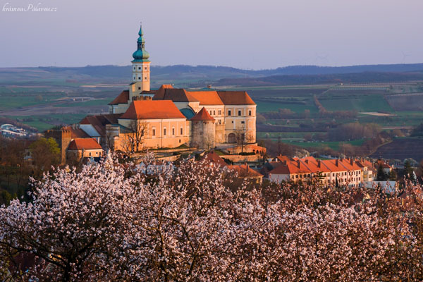 Rozkvetlý zámek