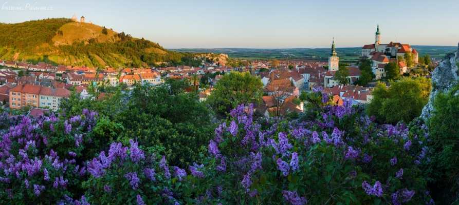 Šeříkové panorama