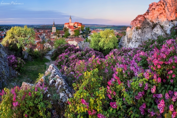 Šeříkový Mikulov