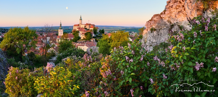 Šeříkový Mikulov