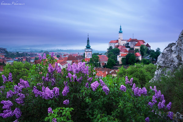 Šeříkový Mikulov