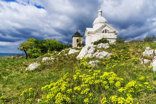 Svatý kopeček a pryšce