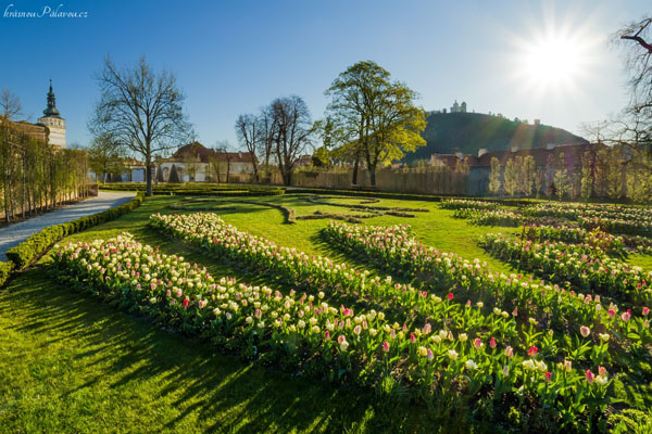 Tulipánová zahrada