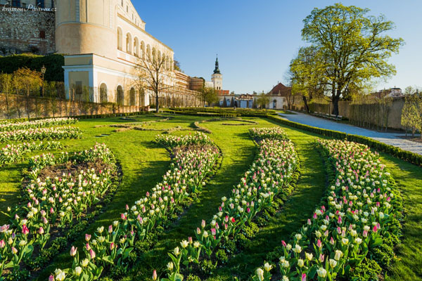 Tulipánová zahrada